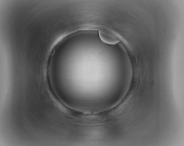 X0000113561463200909251048
