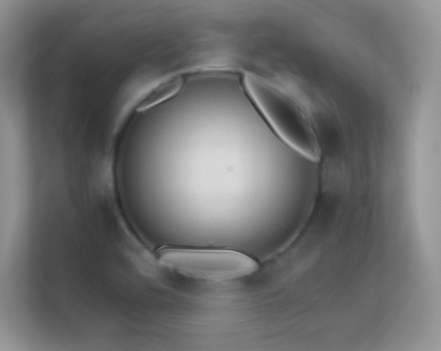 X0000113561464200909251048