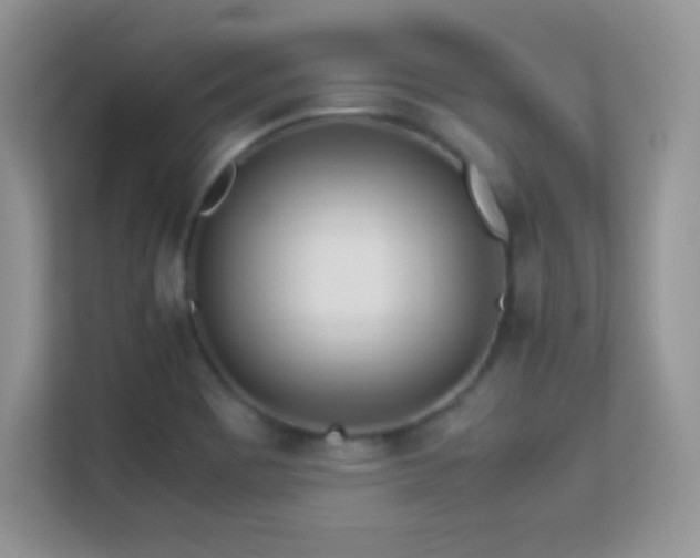 X0000113561465200909251048