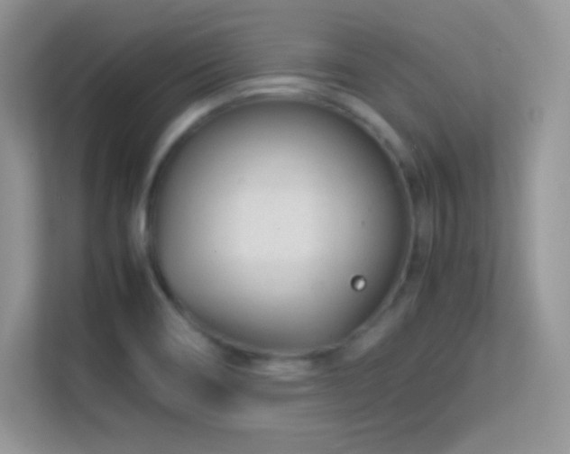 X0000113561466200909251048