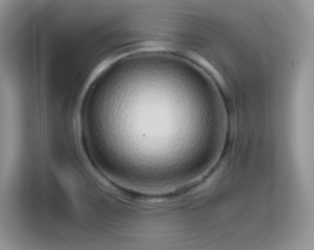 X0000113561467200909251048