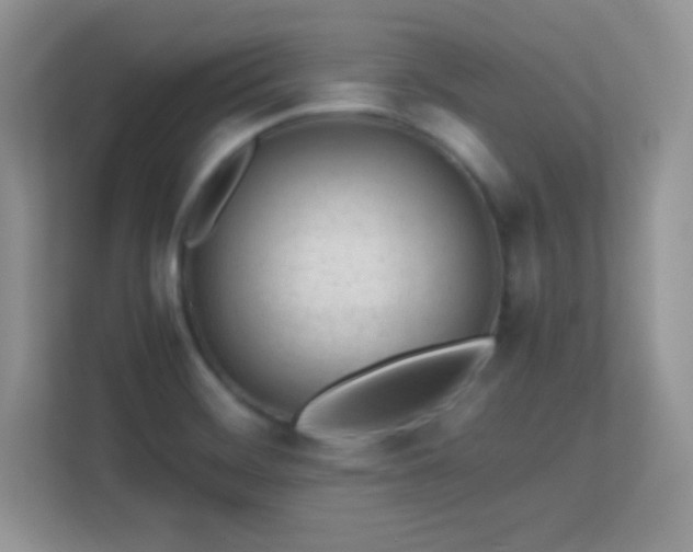 X0000113561468200909251048
