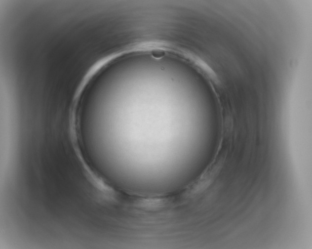 X0000113561470200909251048