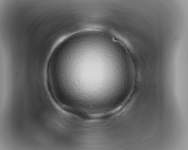 X0000113561471200909251048