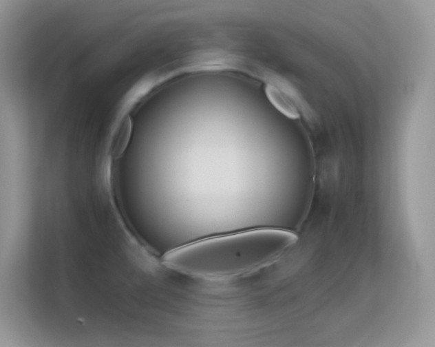 X0000113561472200909251048