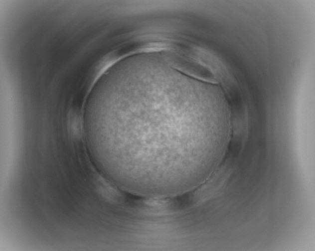 X0000113561473200909251048