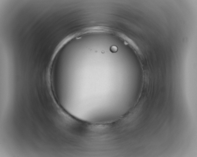 X0000113561474200909251048