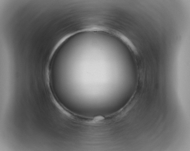X0000113561476200909251048