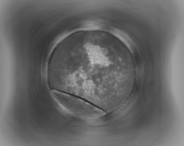 X0000113561477200909251048