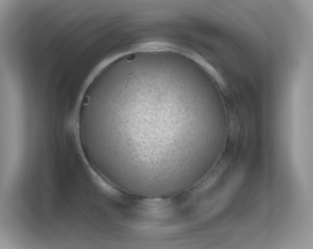 X0000113561478200909251048