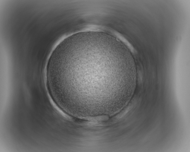 X0000113561479200909251048