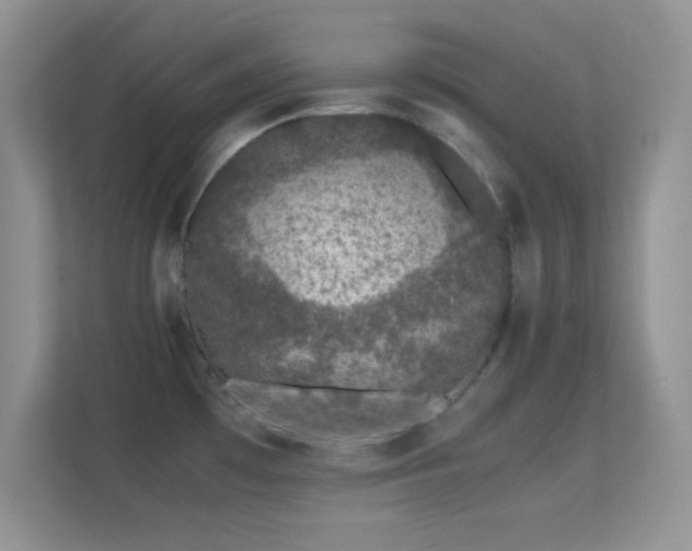 X0000113561481200909251048