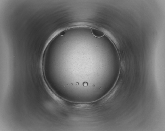X0000113561482200909251048
