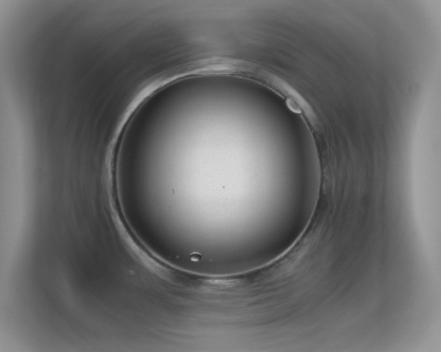 X0000113561483200909251048