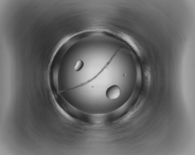 X0000113561484200909251048