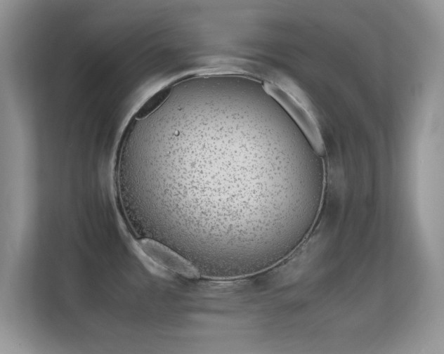 X0000113561485200909251048