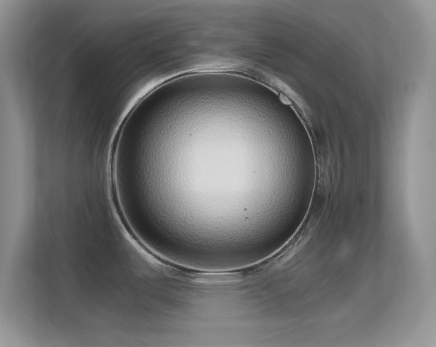 X0000113561487200909251048