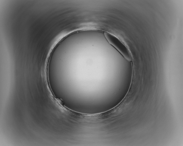 X0000113561488200909251048