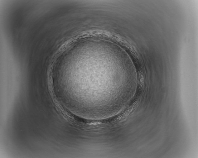 X0000113561489200909251047