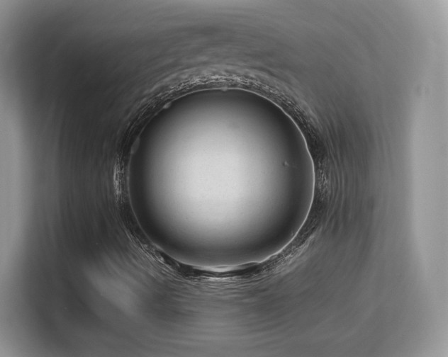X0000113561490200909251047
