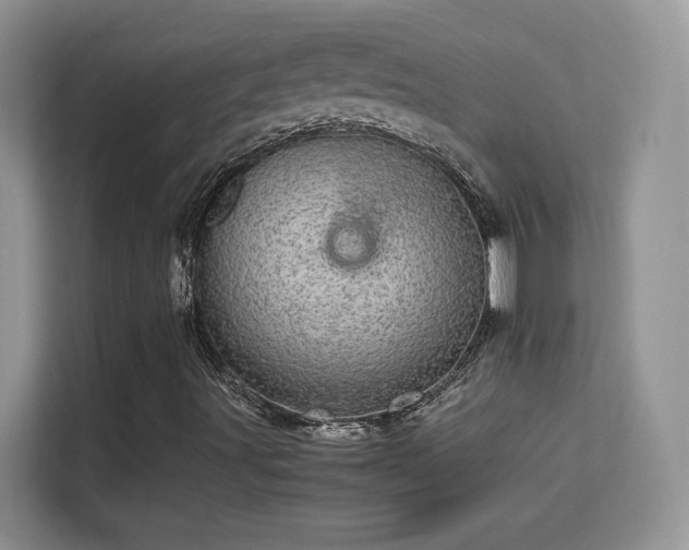 X0000113561491200909251047