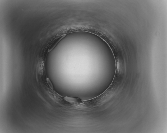 X0000113561492200909251047