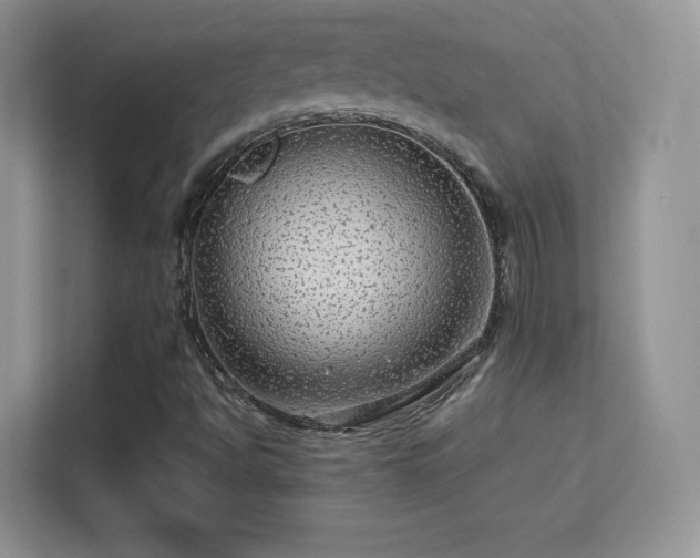 X0000113561494200909251047