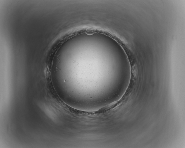 X0000113561495200909251047