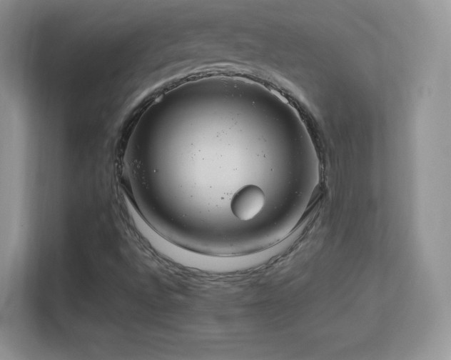 X0000113561496200909251047