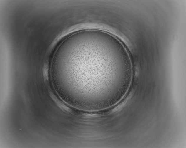 X0000113561499200909251047