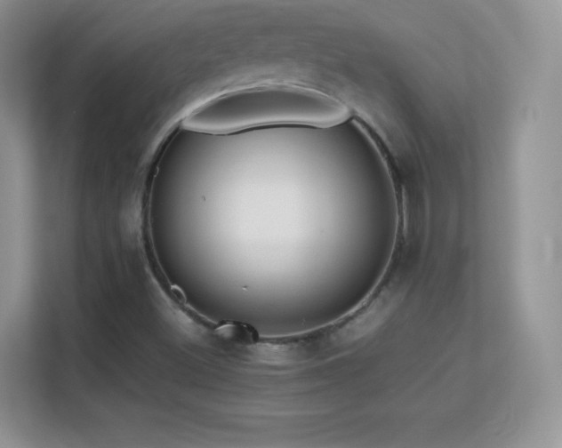X0000113561500200909251047