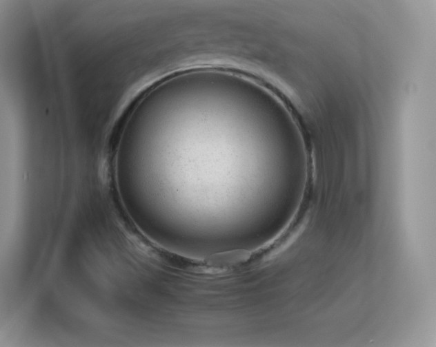 X0000113561501200909251047