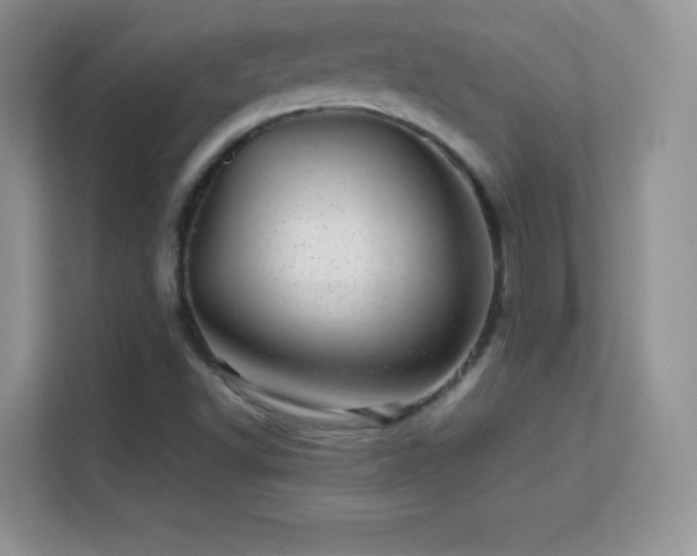 X0000113561502200909251047