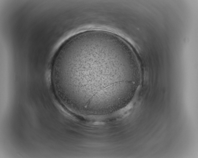X0000113561503200909251048