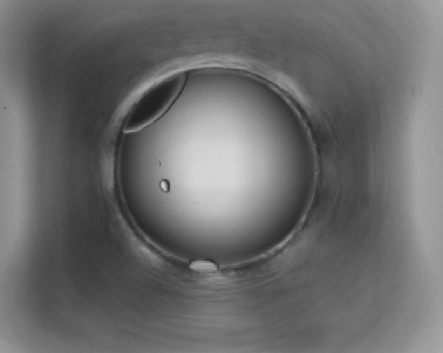 X0000113561504200909251048