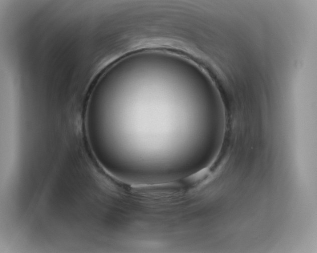 X0000113561505200909251048