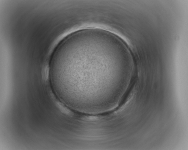 X0000113561507200909251048