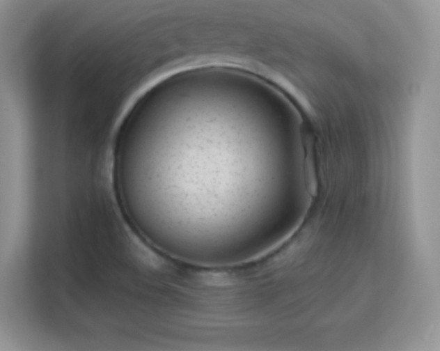 X0000113561508200909251048