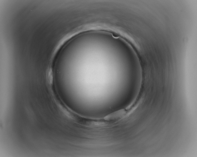 X0000113561509200909251048