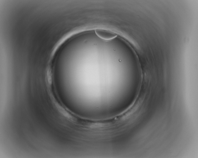 X0000113561510200909251048
