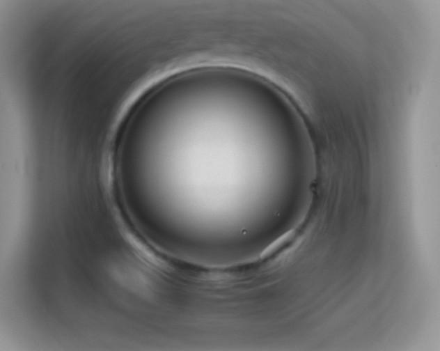 X0000113561511200909251048