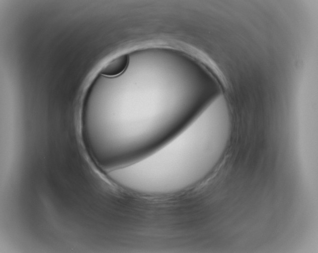 X0000113561512200909251048