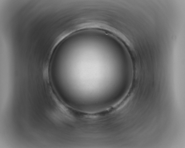 X0000113561513200909251048