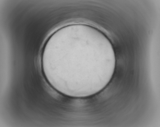 X0000113561514200909251048