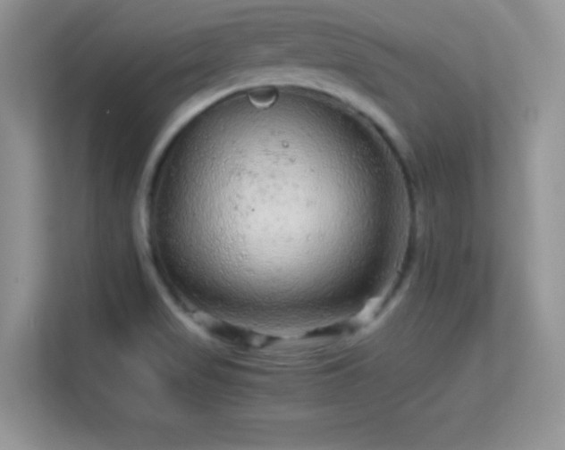 X0000113561517200909251048
