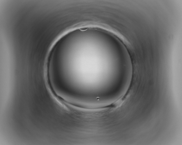 X0000113561518200909251048