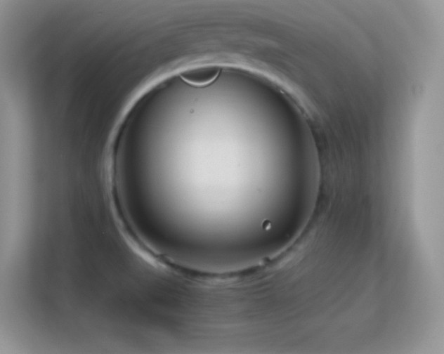 X0000113561519200909251048