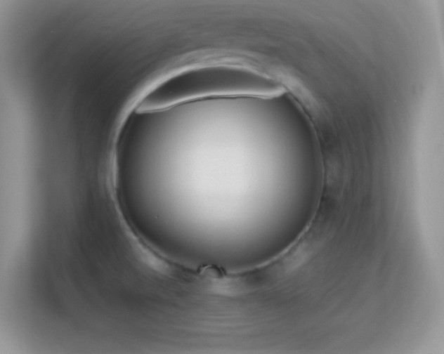 X0000113561520200909251048