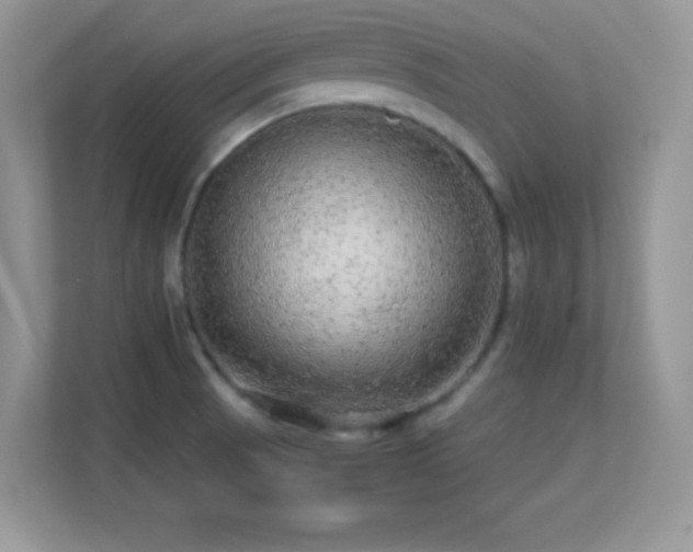X0000113561521200909251048