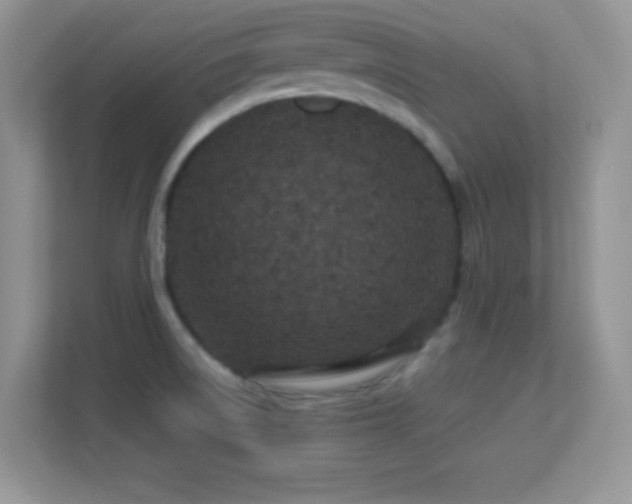 X0000113561522200909251048